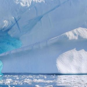 Meet your Posher, Samuel